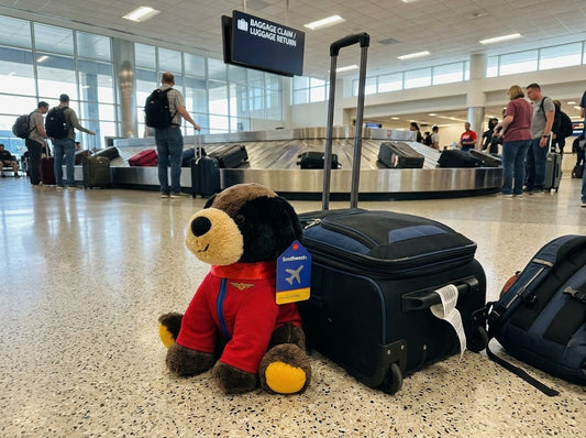 🐾✈️ RARE SOUTHWEST AIRLINES PUPPY • ONE OF A KIND! ✈️🐾