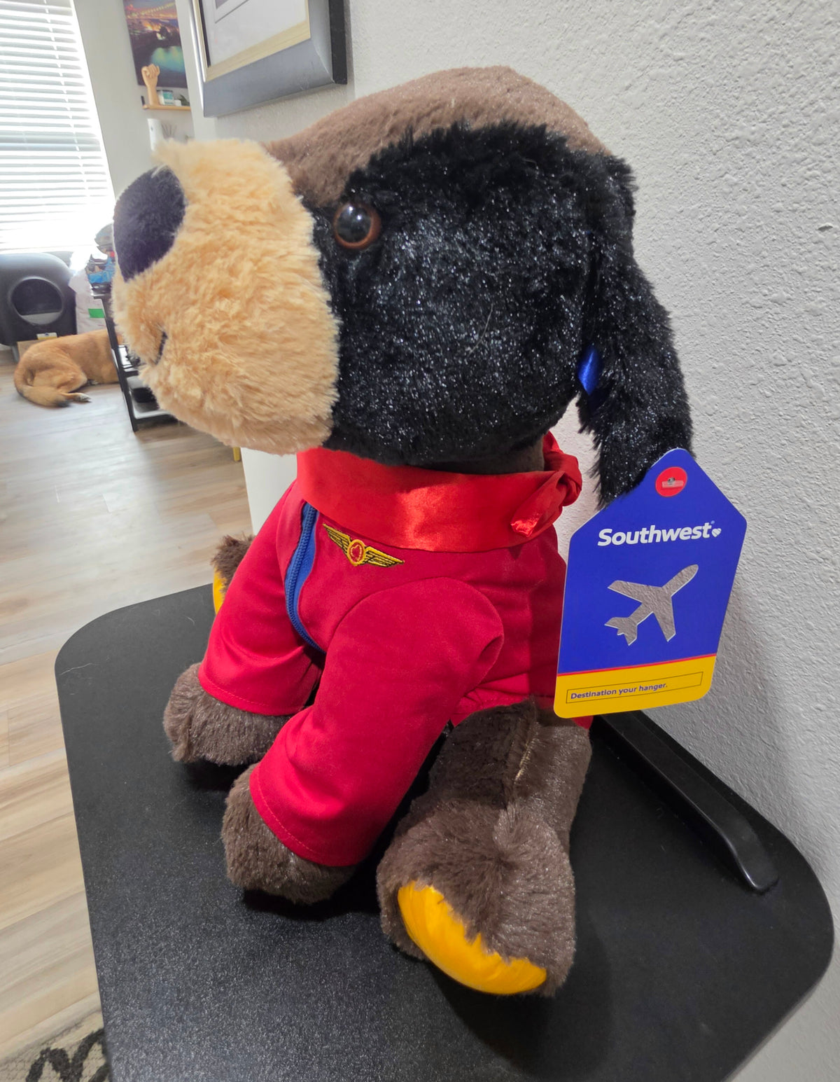 🐾✈️ RARE SOUTHWEST AIRLINES PUPPY • ONE OF A KIND! ✈️🐾